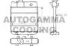 AUTOGAMMA 100739 Radiator, engine cooling